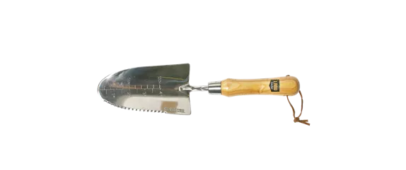 JETZT PFLANZEN, SPäTER STAUNEN! JETZT PFLANZEN, SPäTER STAUNEN!