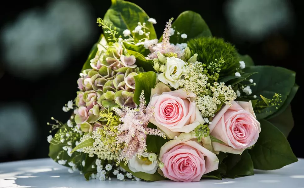 Frische Schnittblumen - URGIBL´S FLORISTIK