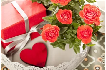 EINE BLUME SAGT MEHR ALS 1000 WORTE EINE BLUME SAGT MEHR ALS 1000 WORTE