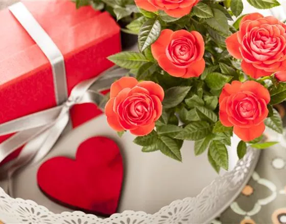 EINE BLUME SAGT MEHR ALS 1000 WORTE