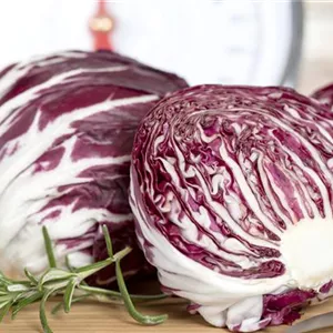 HERBSTSALATE