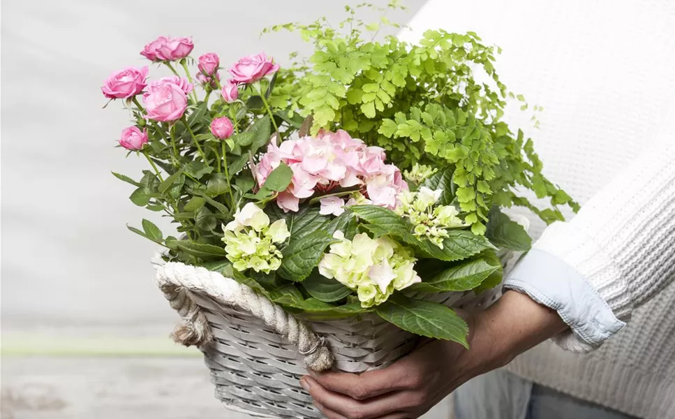 Super Geschenkidee! - Blumige Gutscheine