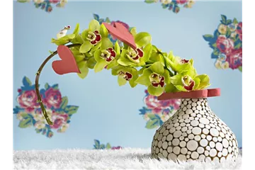 DIE TOP 8 DER WINTERBLUMEN DIE TOP 8 DER WINTERBLUMEN