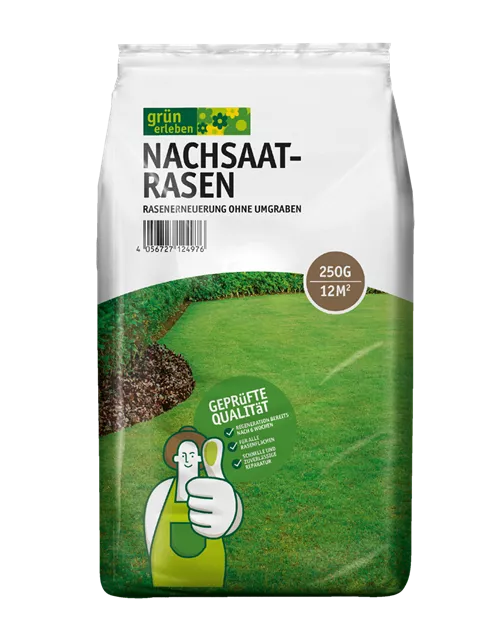 Nachsaatrasen