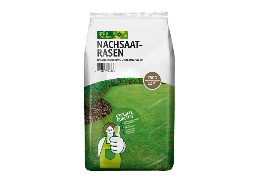 Nachsaatrasen