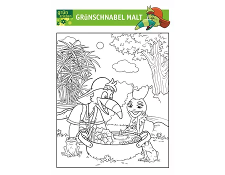 Grünschnabel Malvorlage 5 25 Grünschnabel Malvorlage 5 25