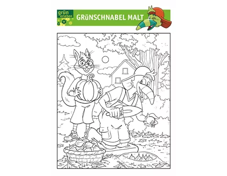 Grünschnabel Malvorlage 6 25 Grünschnabel Malvorlage 6 25