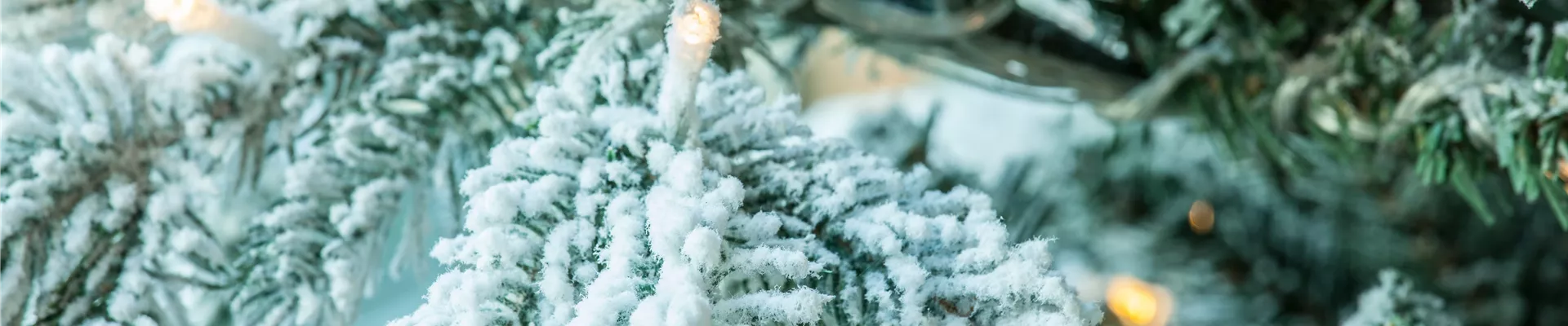 Lichter am Weihnachtsbaum