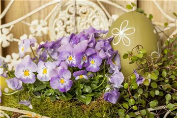 BUNTES OSTERFEST MIT FRüHLINGSBOTEN! BUNTES OSTERFEST MIT FRüHLINGSBOTEN!
