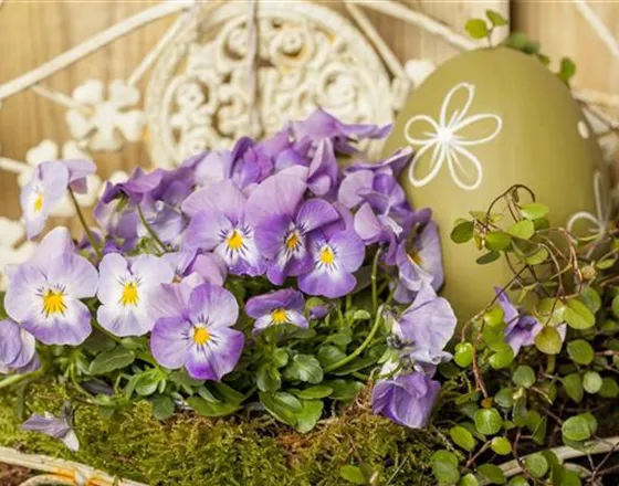 BUNTES OSTERFEST MIT FRüHLINGSBOTEN!