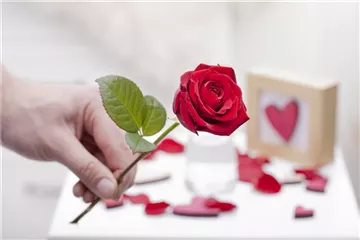 BLUMIGER VALENTINSTAG! BLUMIGER VALENTINSTAG!