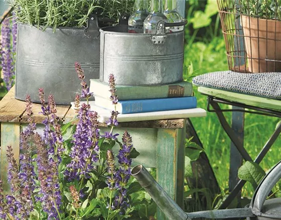 SOMMER IM STAUDENGARTEN!