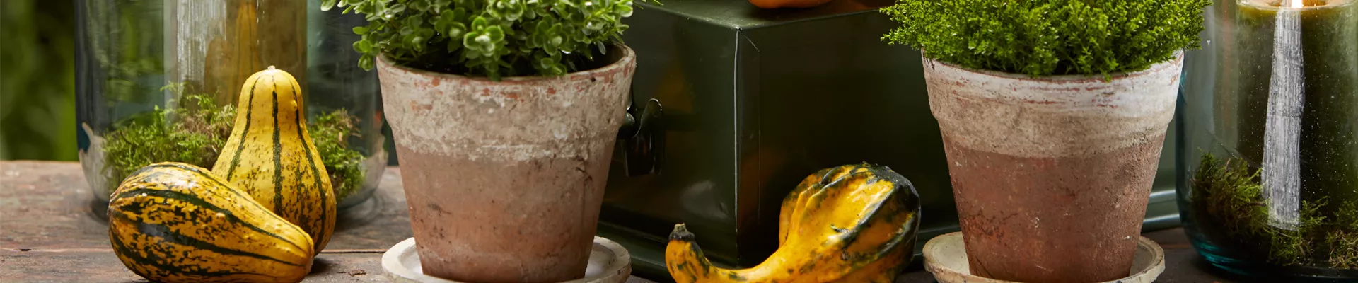 MUST-HAVES FÜR DEN HERBST!