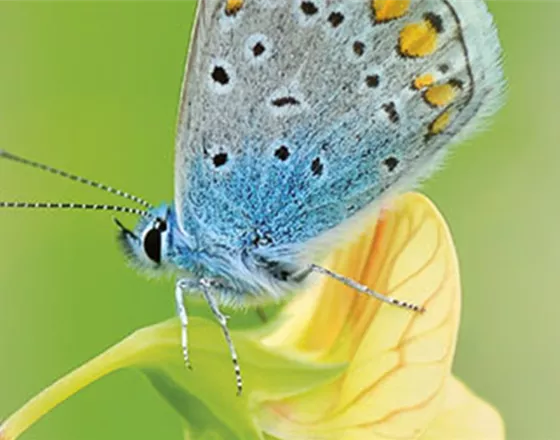 ALLES BIO, ODER WAS? 