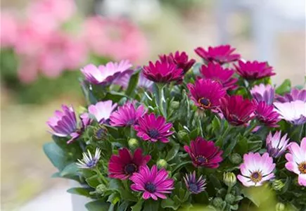 Unser Sortiment im Überblick