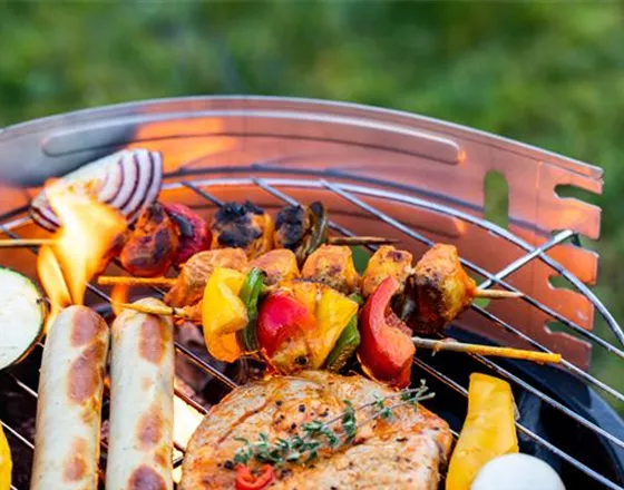 DIE GRILLSAISON IST ERöFFNET!