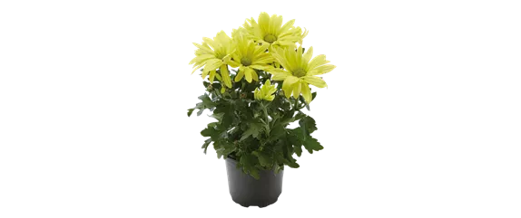 EIN KUNTERBUNTER HERBST! EIN KUNTERBUNTER HERBST!