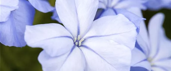EIN KUNTERBUNTER HERBST! EIN KUNTERBUNTER HERBST!