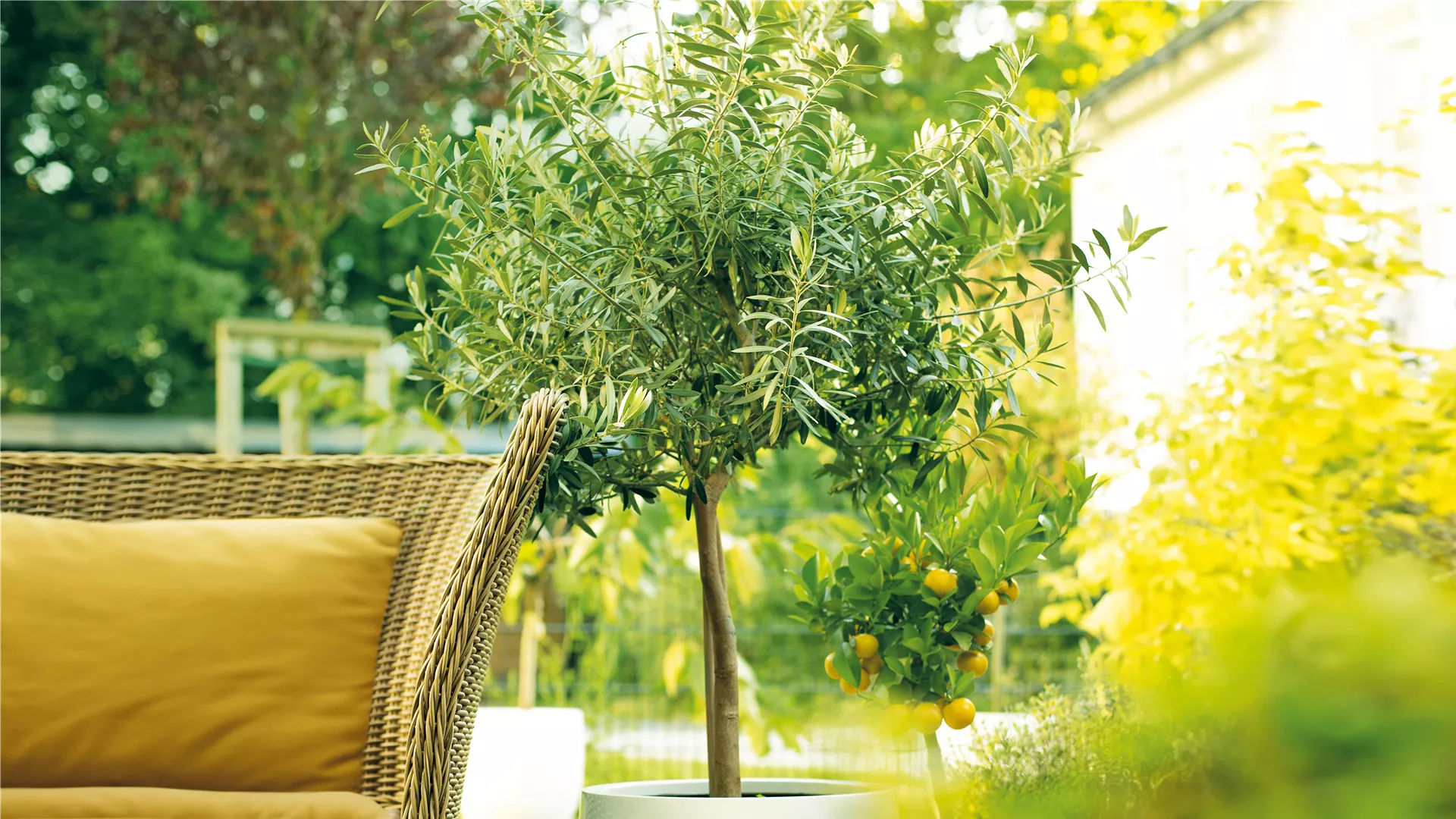 Garten des Südens!