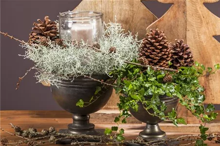 LICHTER IM HERBST LICHTER IM HERBST