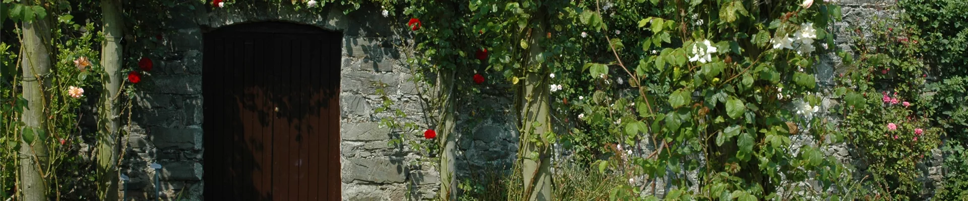 Pergola mit Kletterrosen